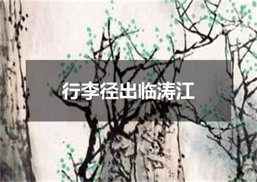 行李径出临涛江