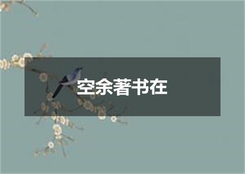 空余著书在