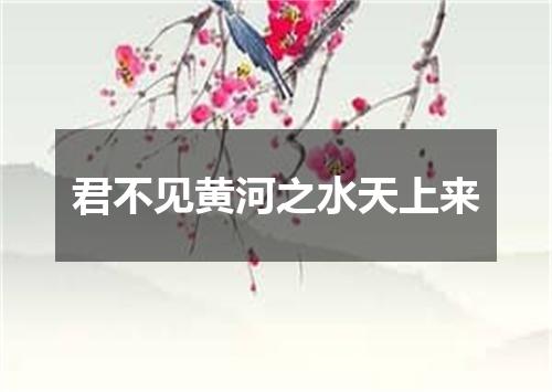 君不见黄河之水天上来