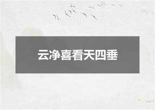 云净喜看天四垂