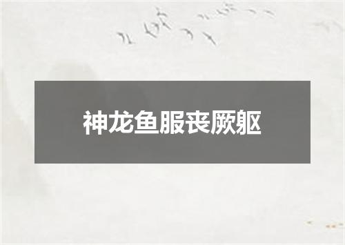 神龙鱼服丧厥躯