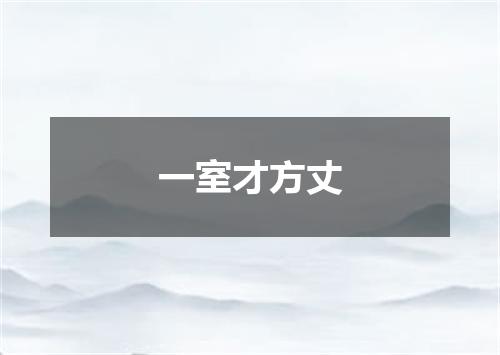 一室才方丈