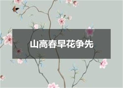 山高春早花争先