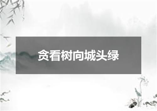 贪看树向城头绿
