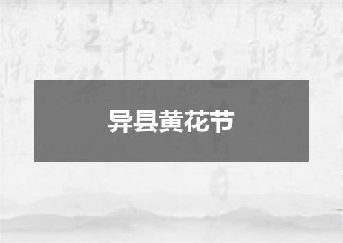 异县黄花节