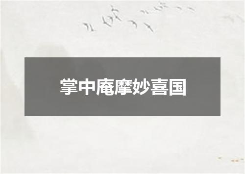 掌中庵摩妙喜国