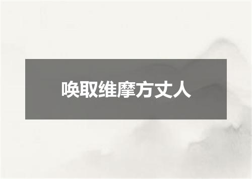 唤取维摩方丈人