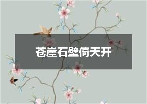 苍崖石壁倚天开