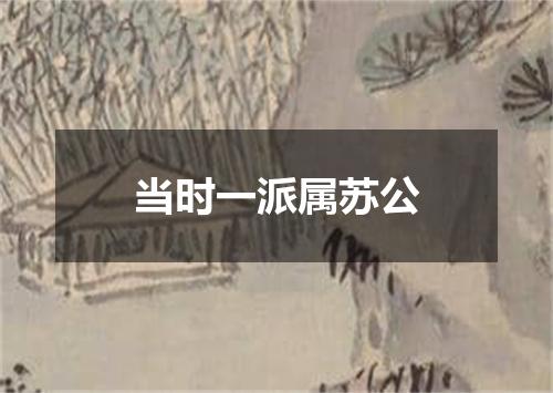 当时一派属苏公