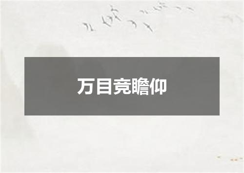 万目竞瞻仰
