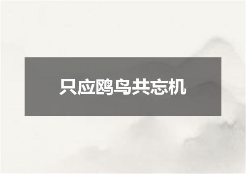 只应鸥鸟共忘机