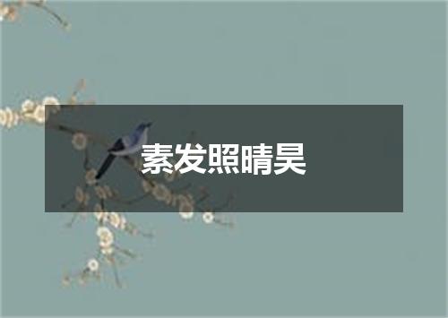素发照晴昊