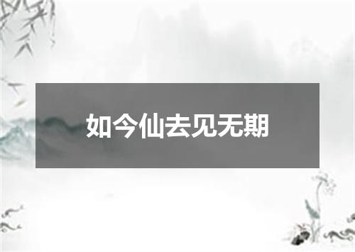 如今仙去见无期