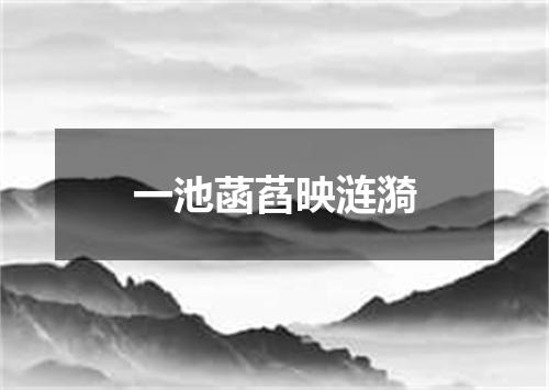一池菡萏映涟漪