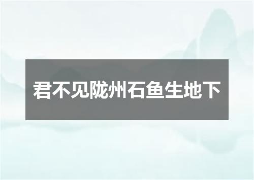 君不见陇州石鱼生地下