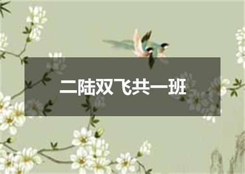 二陆双飞共一班