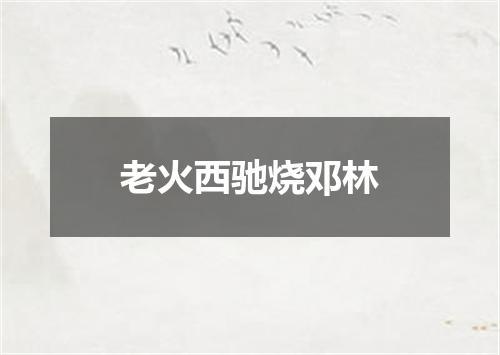 老火西驰烧邓林