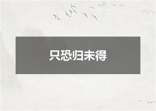 只恐归未得
