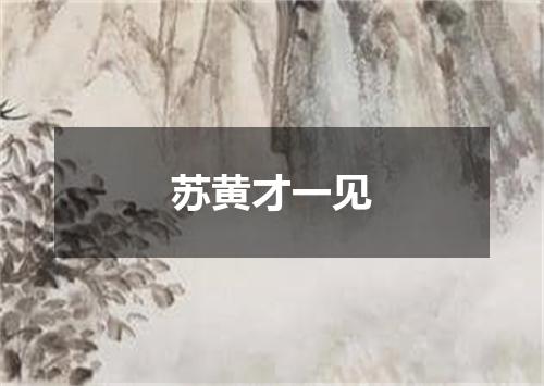 苏黄才一见