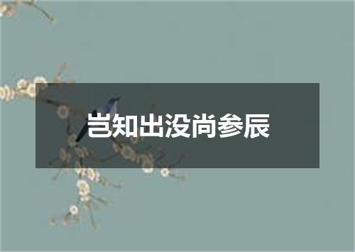 岂知出没尚参辰