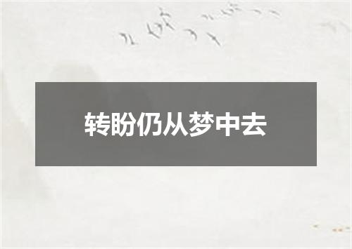 转盼仍从梦中去