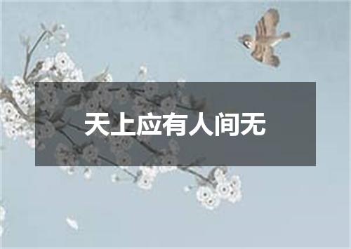 天上应有人间无