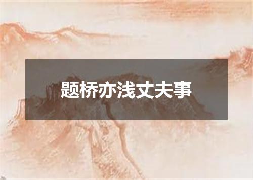 题桥亦浅丈夫事