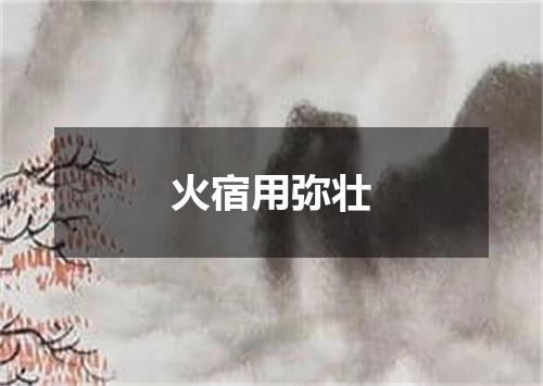 火宿用弥壮