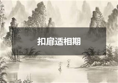 扣扉适相期