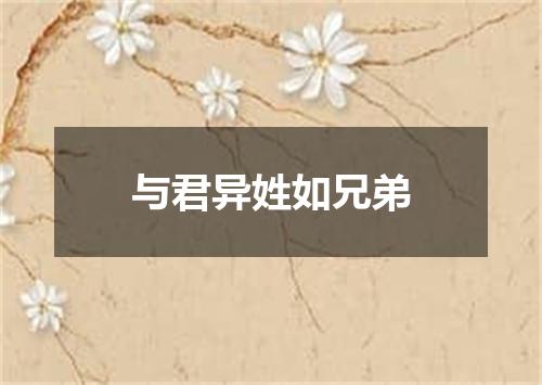 与君异姓如兄弟