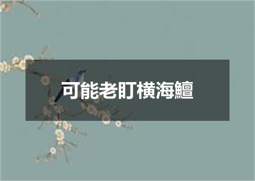 可能老盯横海鱣