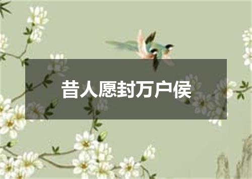 昔人愿封万户侯