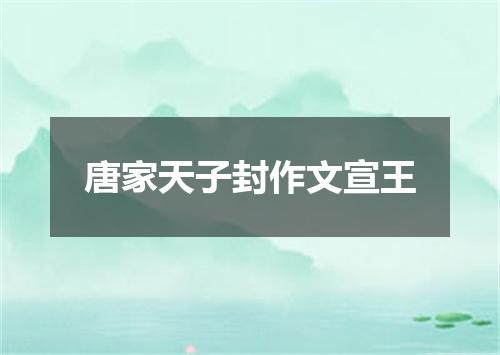 唐家天子封作文宣王