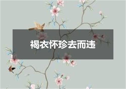 褐衣怀珍去而违