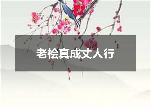 老桧真成丈人行