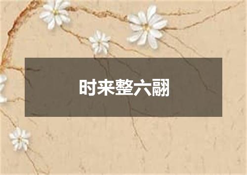 时来整六翮