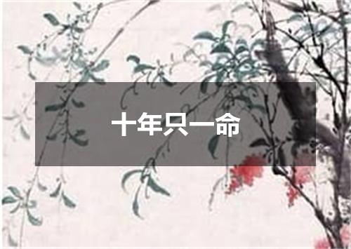 十年只一命