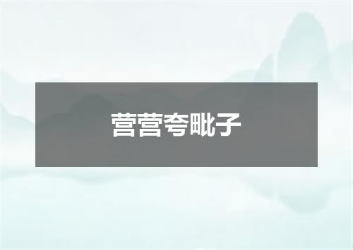 营营夸毗子