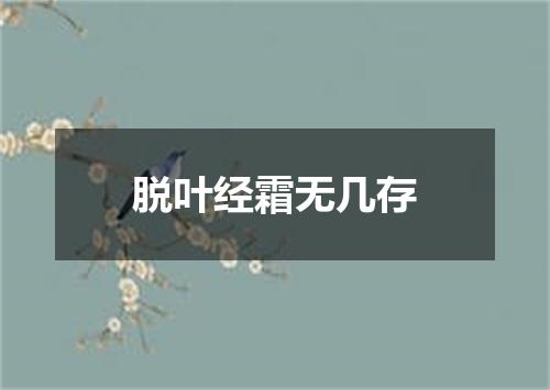 脱叶经霜无几存