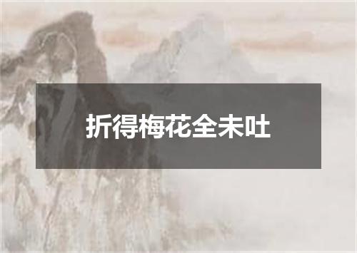 折得梅花全未吐