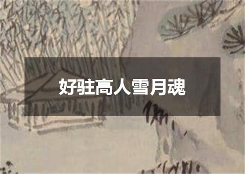 好驻高人雪月魂