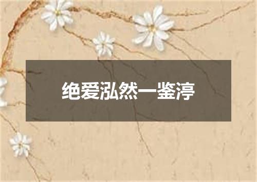 绝爱泓然一鉴渟