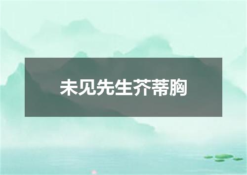 未见先生芥蒂胸