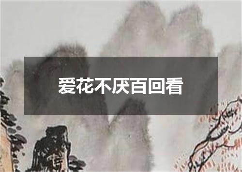 爱花不厌百回看