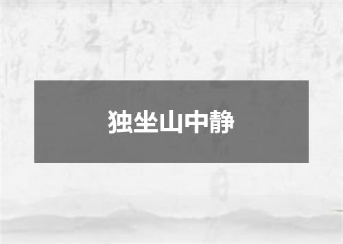 独坐山中静