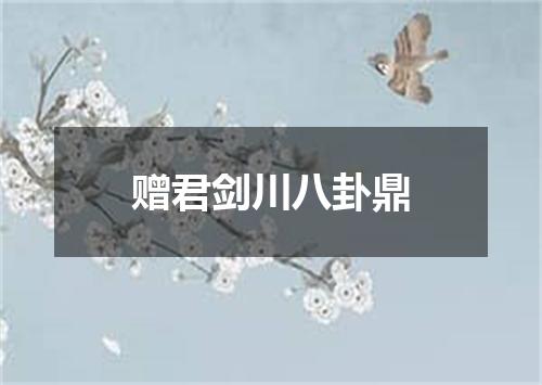 赠君剑川八卦鼎