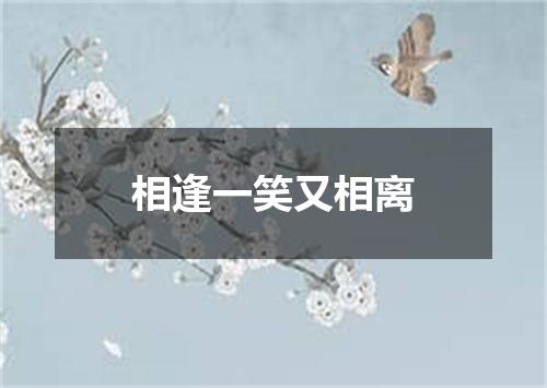 相逢一笑又相离
