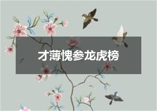 才薄愧参龙虎榜
