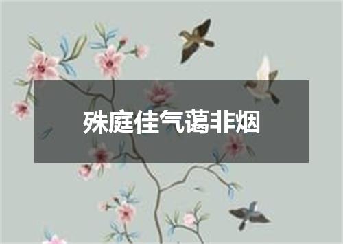 殊庭佳气蔼非烟