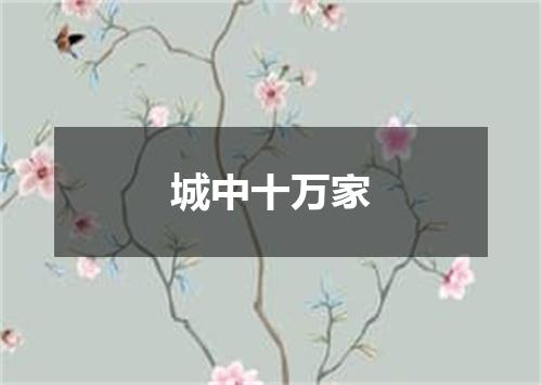 城中十万家